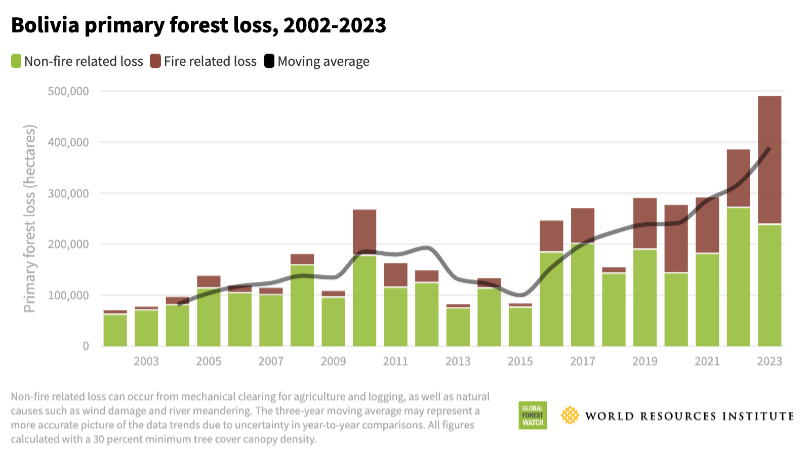 Bolivia primary forest loss in the 21st century.