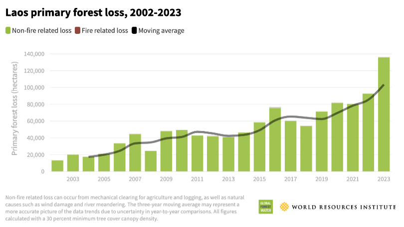 Laos primary forest loss in the 21st century.