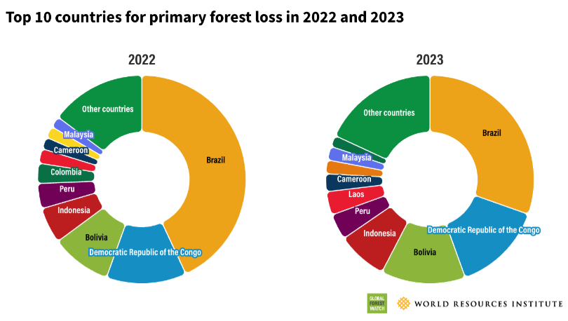 Share of forest loss by country for 2022 and 2023.