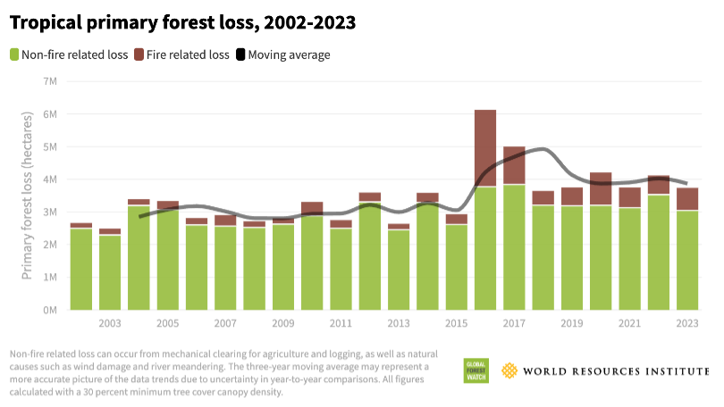 Total global forest loss 2002-2023.