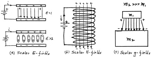 Sacalar Fields