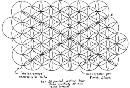 Cell Matrix Structure 3