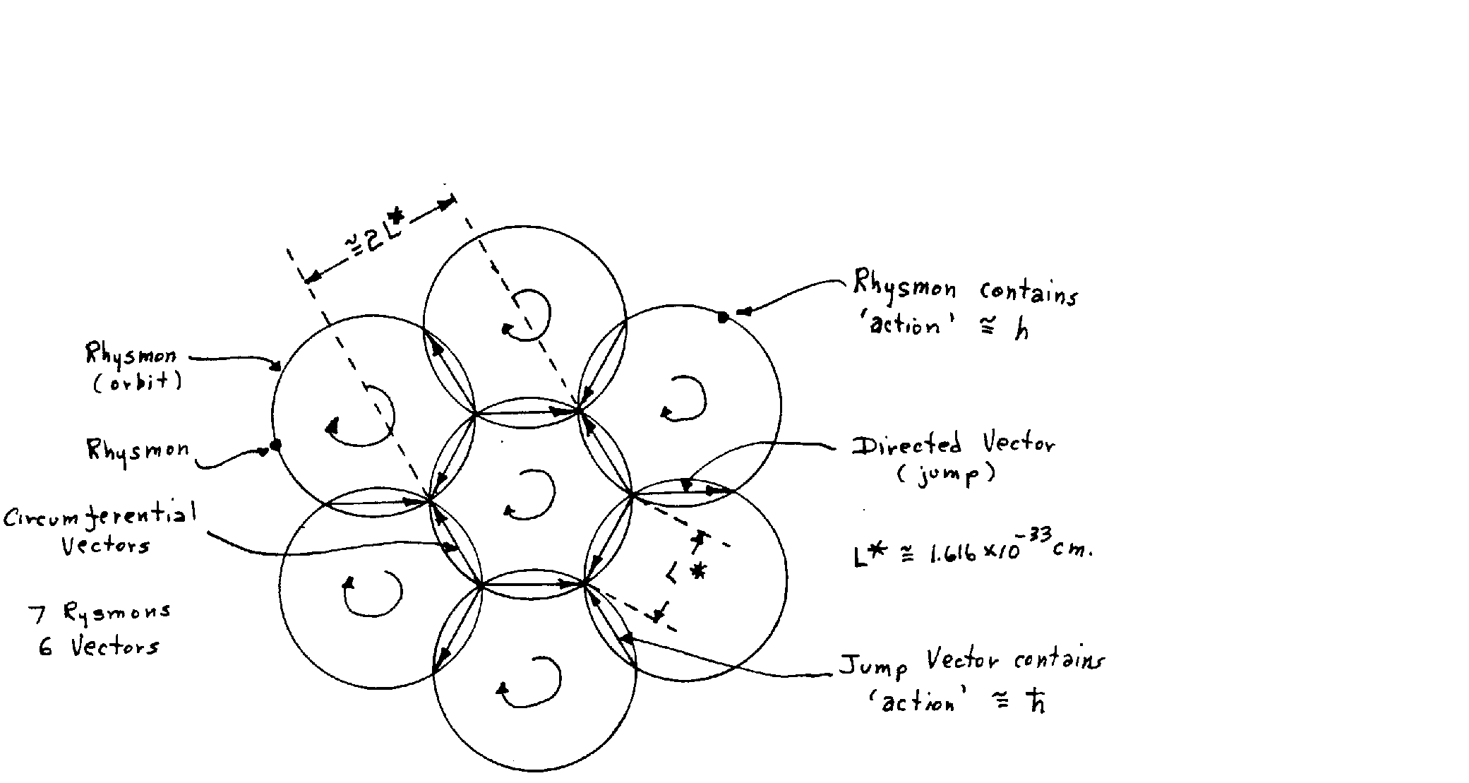 Planar view of circumferential vectors in basic cell of matrix structure