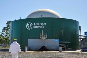 ArreBeef is pioneering the use of animal wastes to produce biogas 