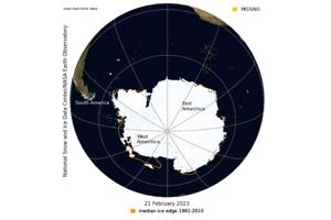 Antarctica Sea Ice