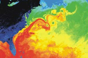 Surface Temperature Map in the Western North Atlantic Ocean