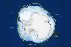 Antarctica Sea Ice