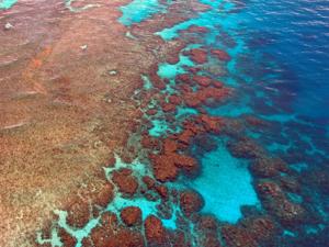 Australia's Great Barrier Reef.